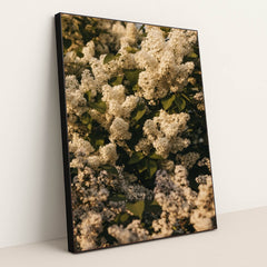 7090341707811 - Product Image