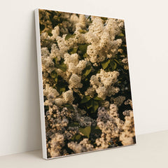 7090341707811 - Product Image