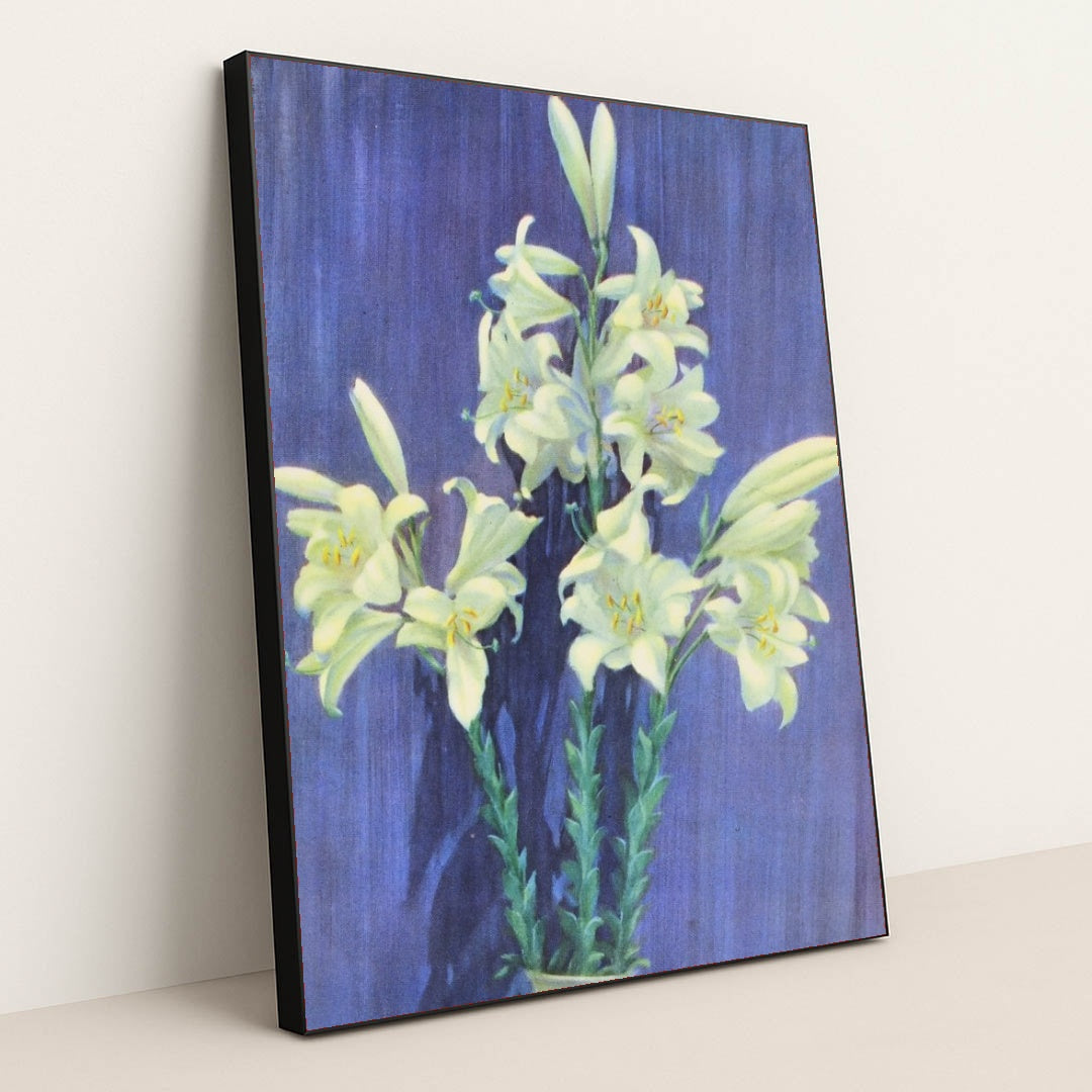 7074627321891 - Product Image