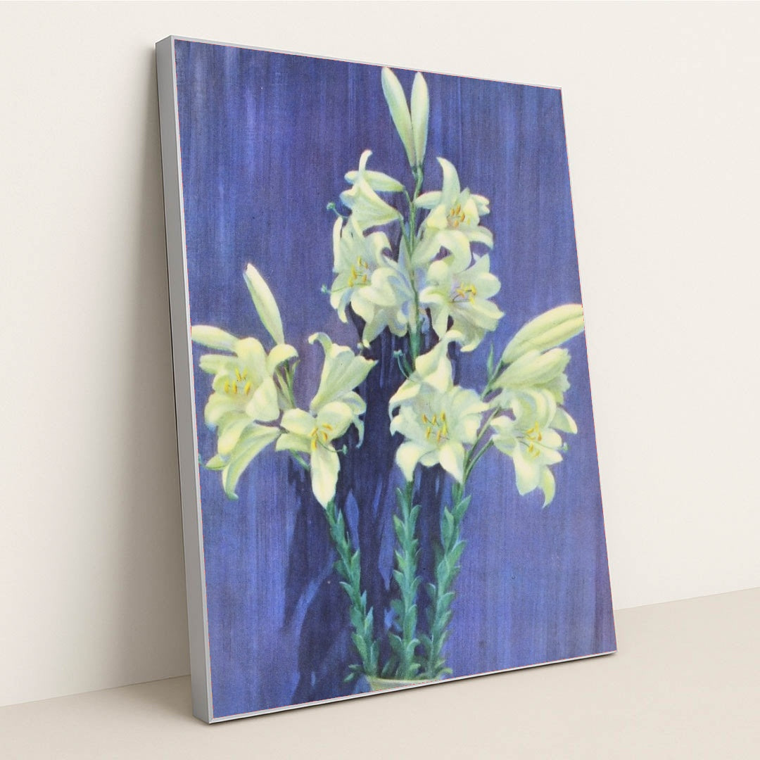 7074627321891 - Product Image