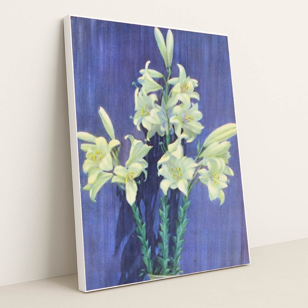 7074627321891 - Product Image