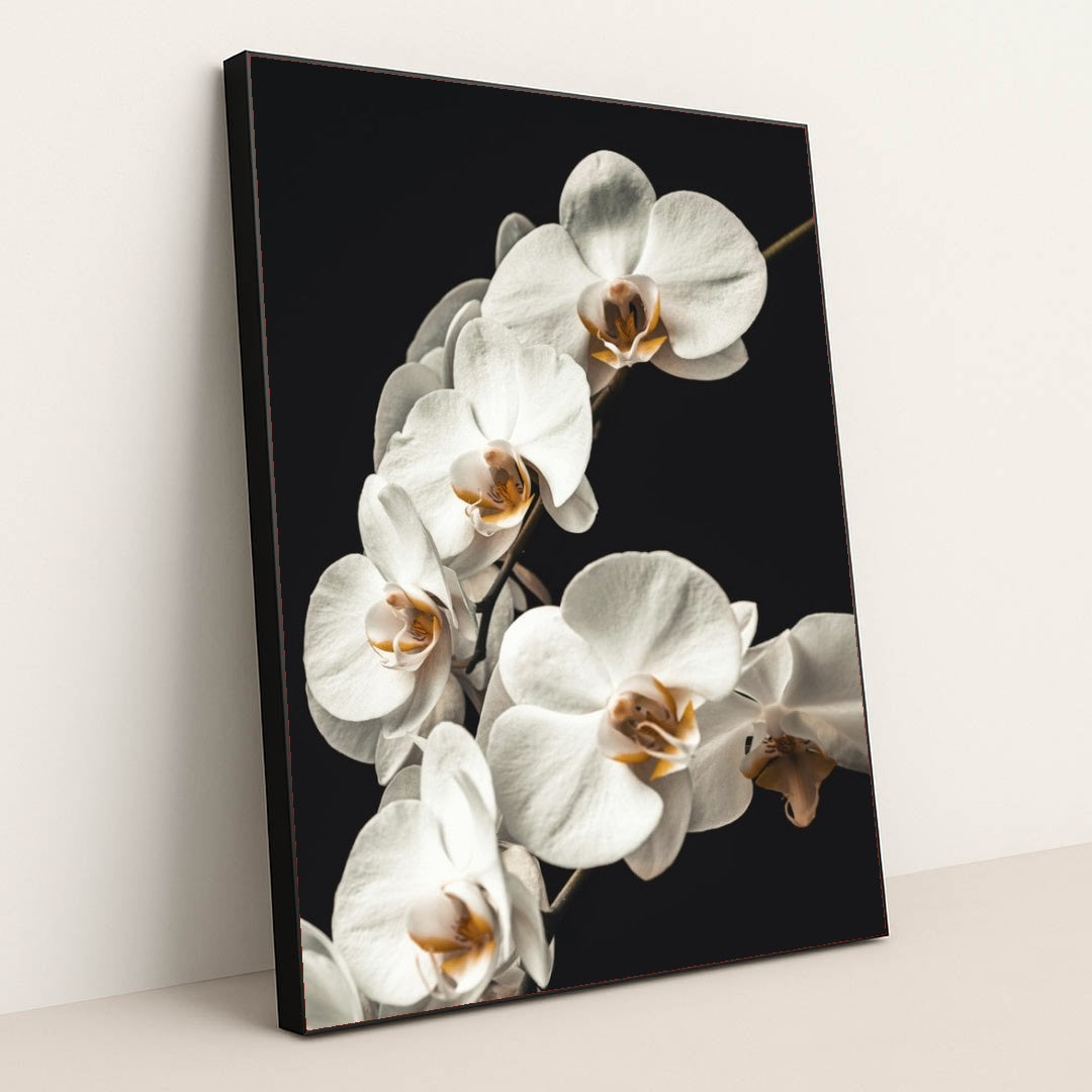 7090256379939 - Product Image