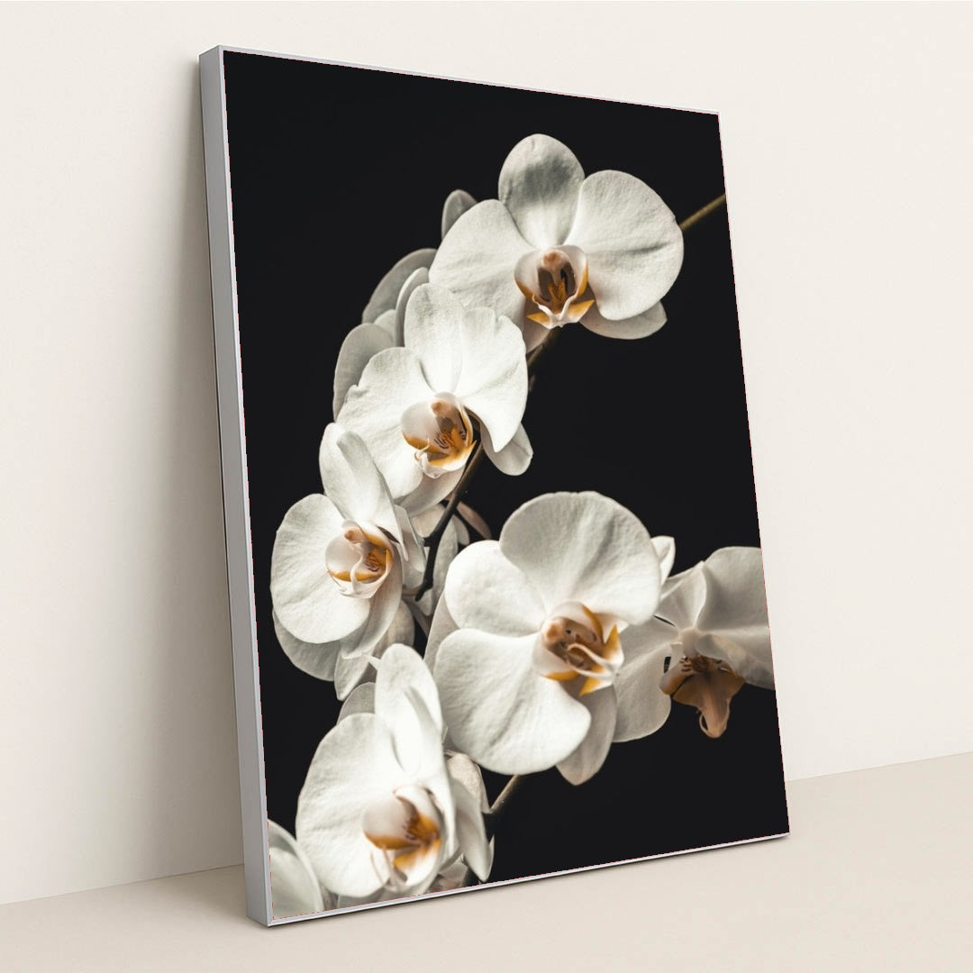 7090256379939 - Product Image