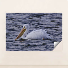 7090340233251 - Product Image