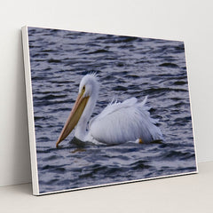 7090340233251 - Product Image