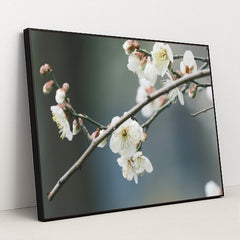 7090287607843 - Product Image