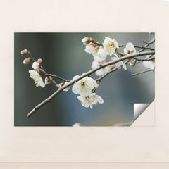 7090287607843 - Product Image