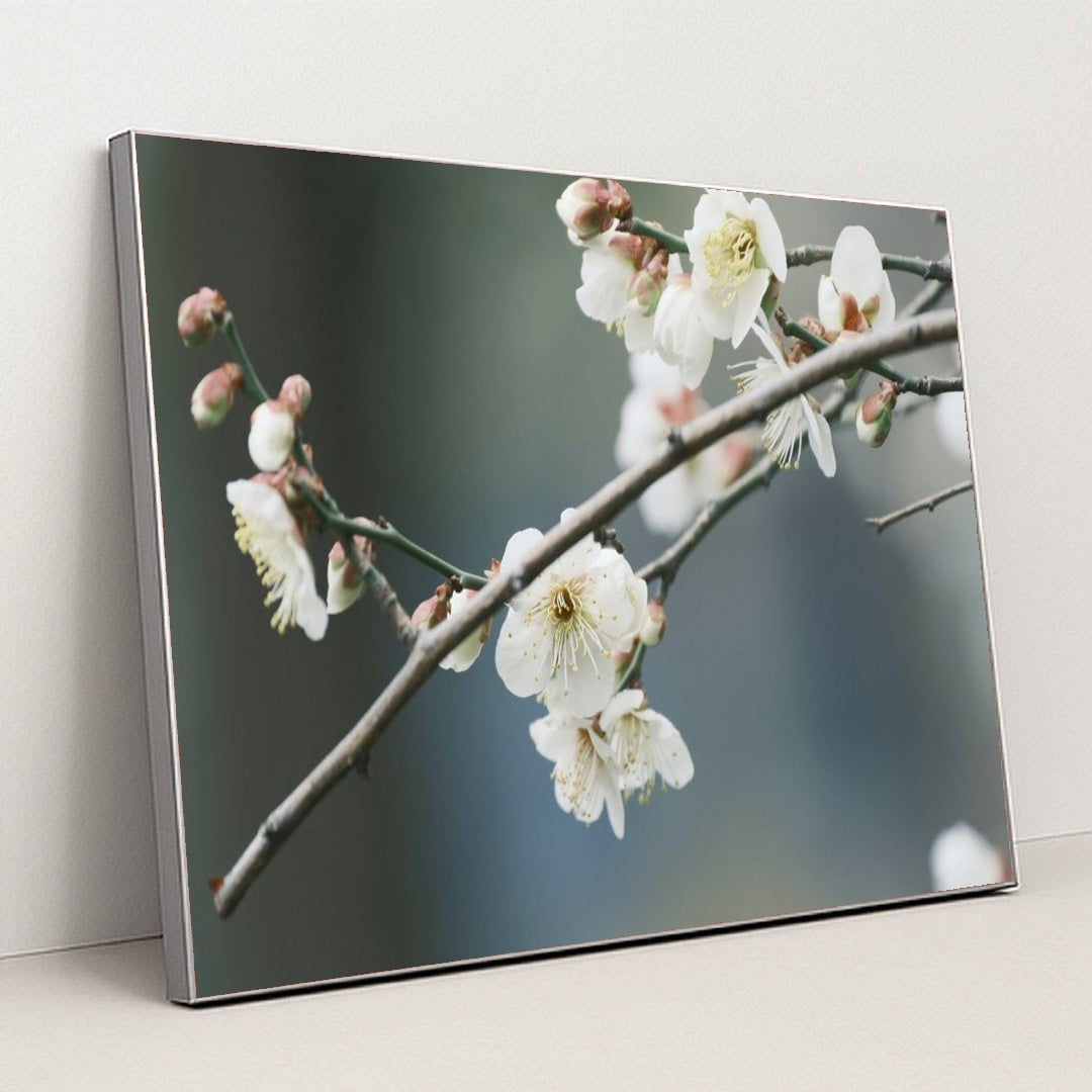 7090287607843 - Product Image