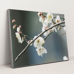 7090287607843 - Product Image