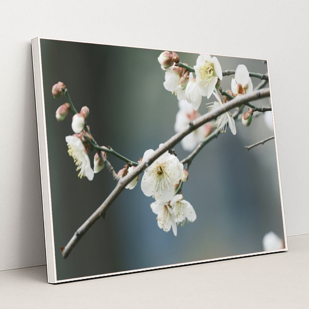 7090287607843 - Product Image