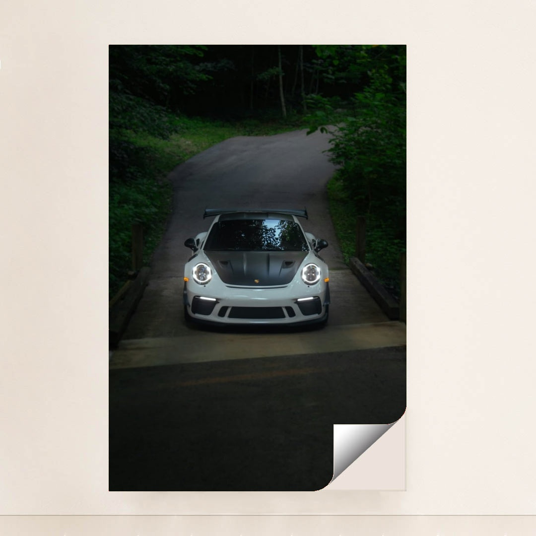 This photo shows a white Porsche sports car with a black hood and wing facing the camera on a forested road, minimalist unframed style.