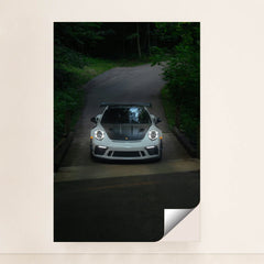 This photo shows a white Porsche sports car with a black hood and wing facing the camera on a forested road, minimalist unframed style.