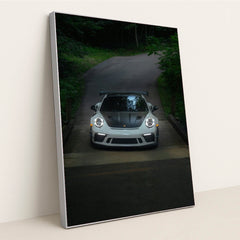 This photo shows a white Porsche sports car with a black hood and wing facing the camera on a forested road, in a silver frame.