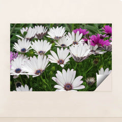 7090347966499 - Product Image