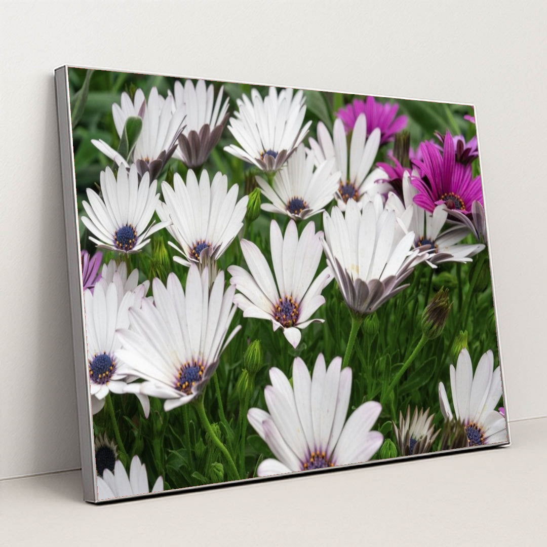 7090347966499 - Product Image