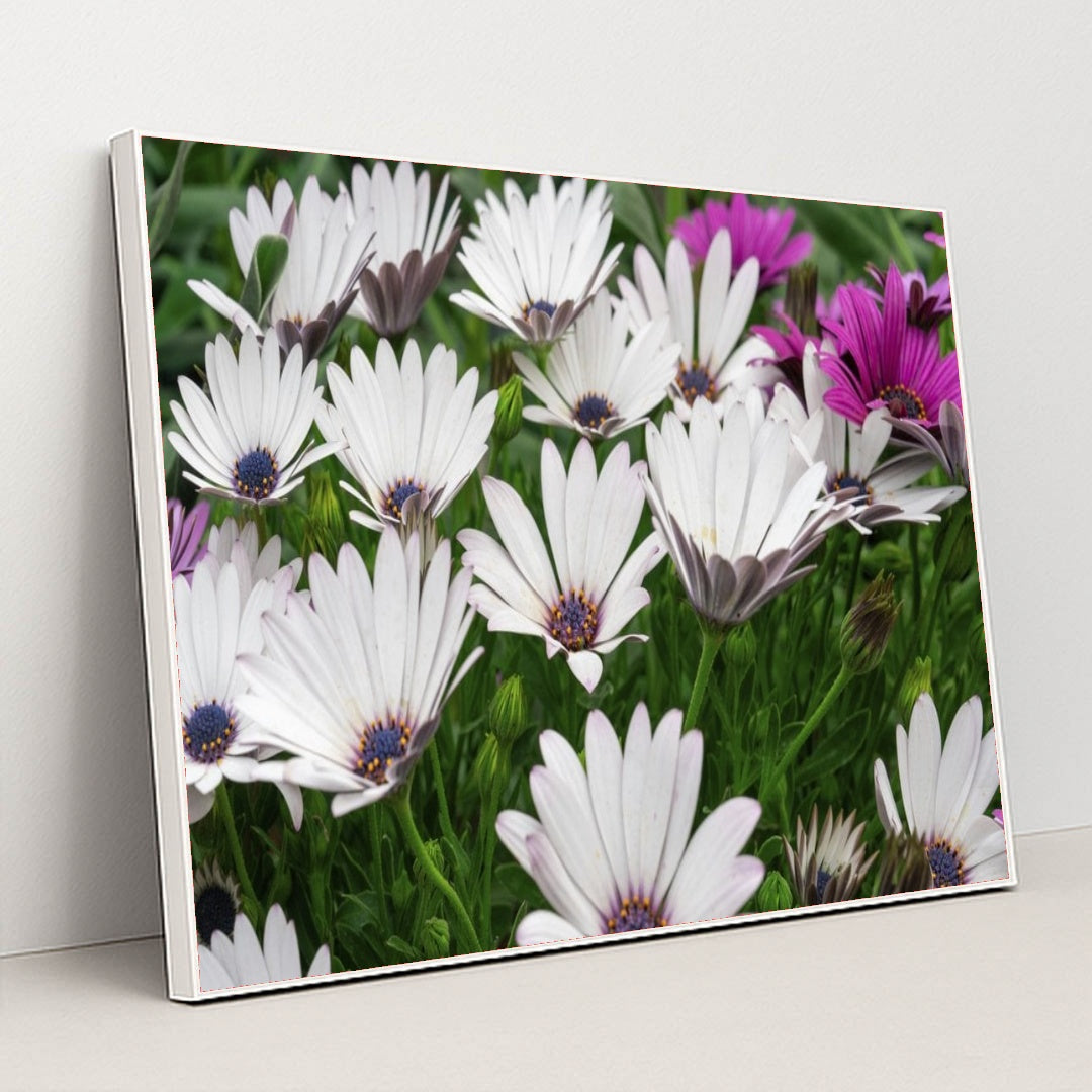 7090347966499 - Product Image