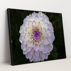 7090298224675 - Product Image