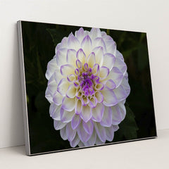 7090298224675 - Product Image