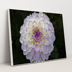 7090298224675 - Product Image