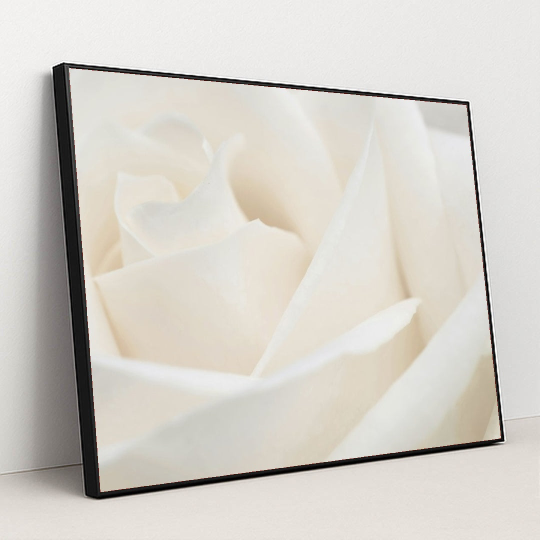 7090291900451 - Product Image