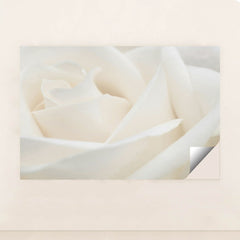 7090291900451 - Product Image