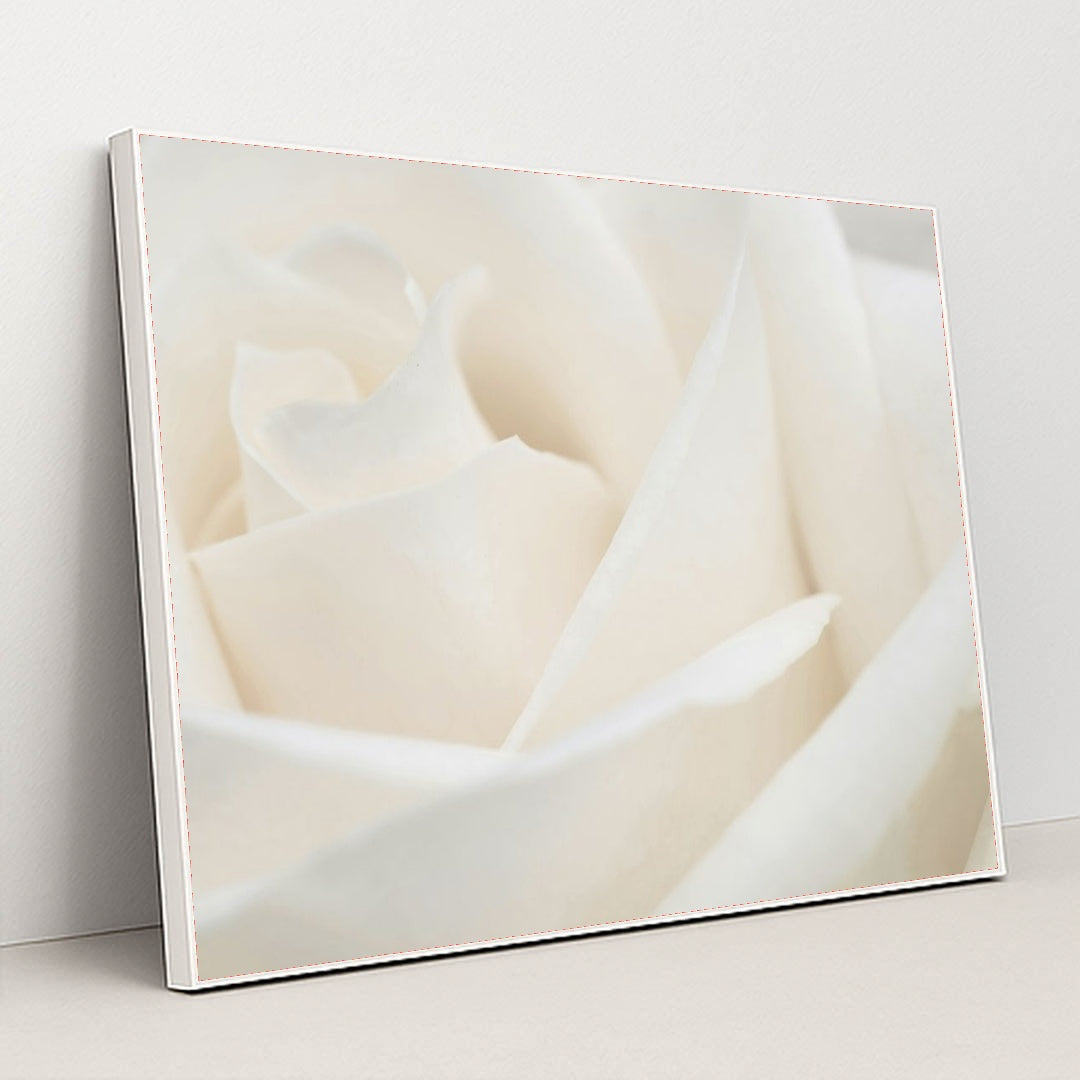 7090291900451 - Product Image