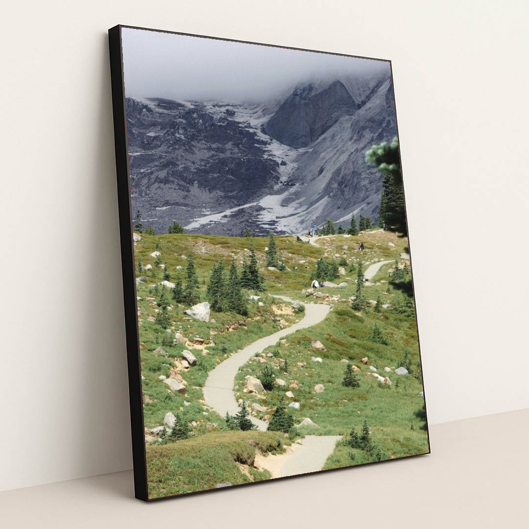 7090349637667 - Product Image