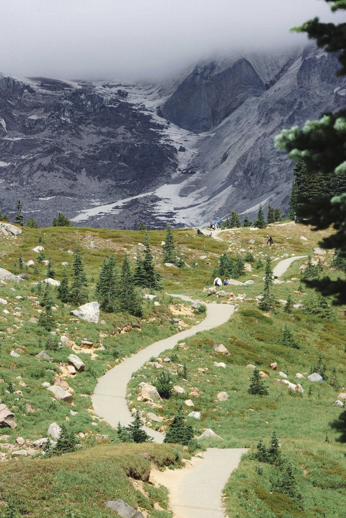 Vasilis Karkalas - Explore the serene path winding through the lush Washington landscape with majestic mountains.