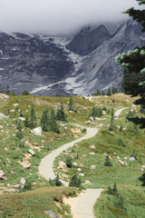 Vasilis Karkalas - Explore the serene path winding through the lush Washington landscape with majestic mountains.