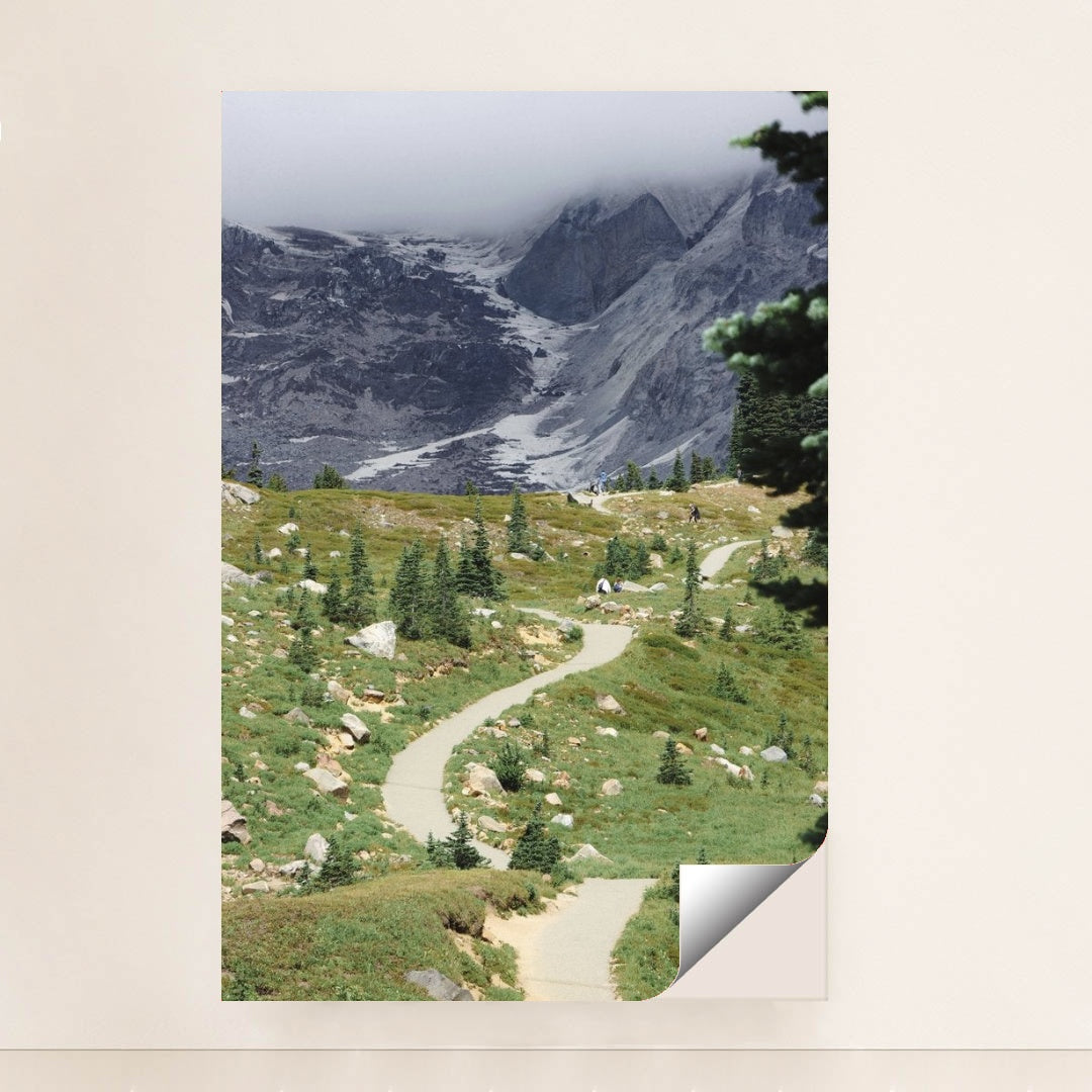 7090349637667 - Product Image