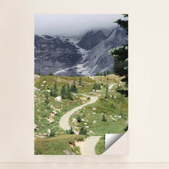 7090349637667 - Product Image