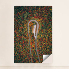 6340 - Product Image