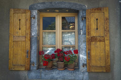 Paweł Kosmala - A rustic wooden window adorned with red geraniums in clay pots against a stone wall.