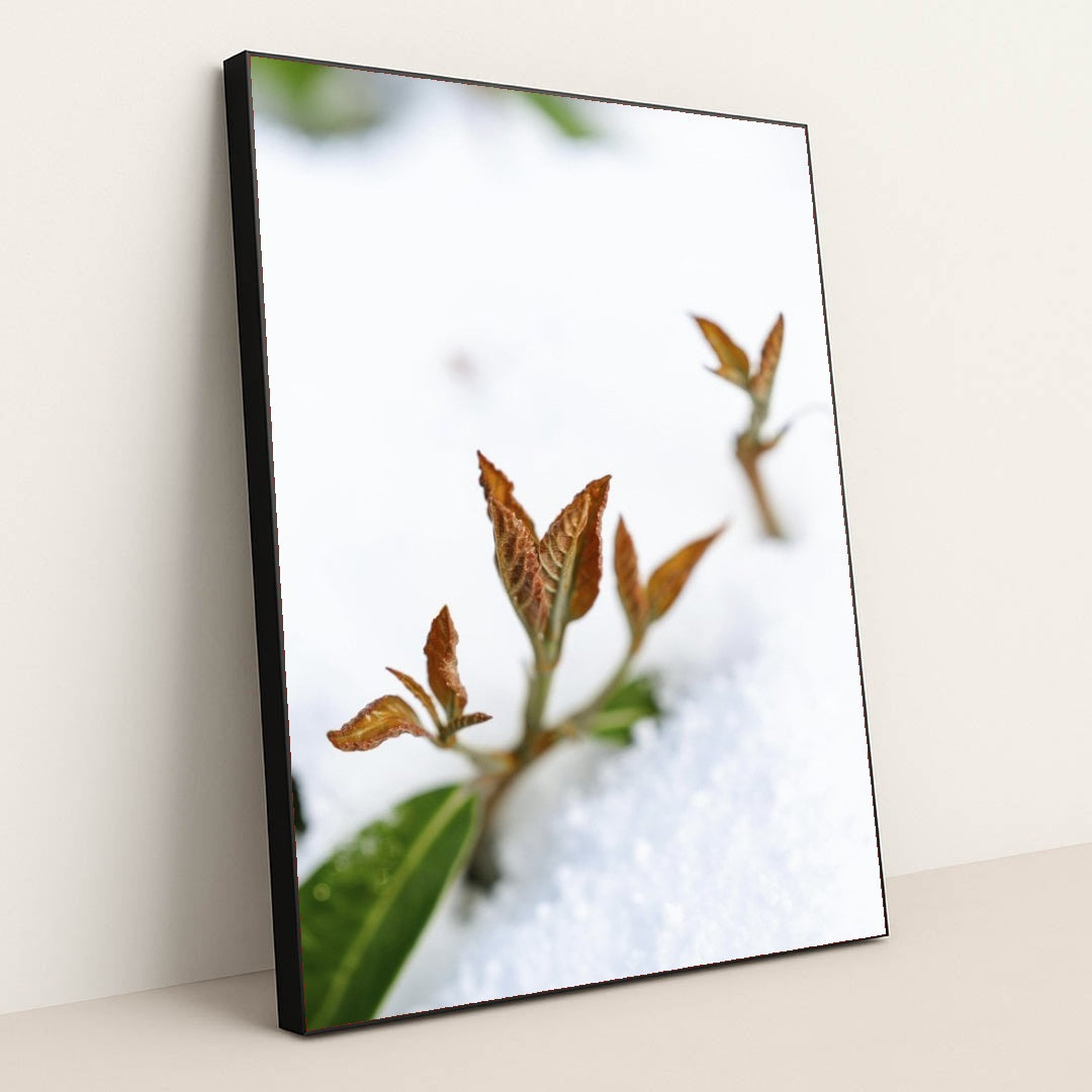 7090345836579 - Product Image