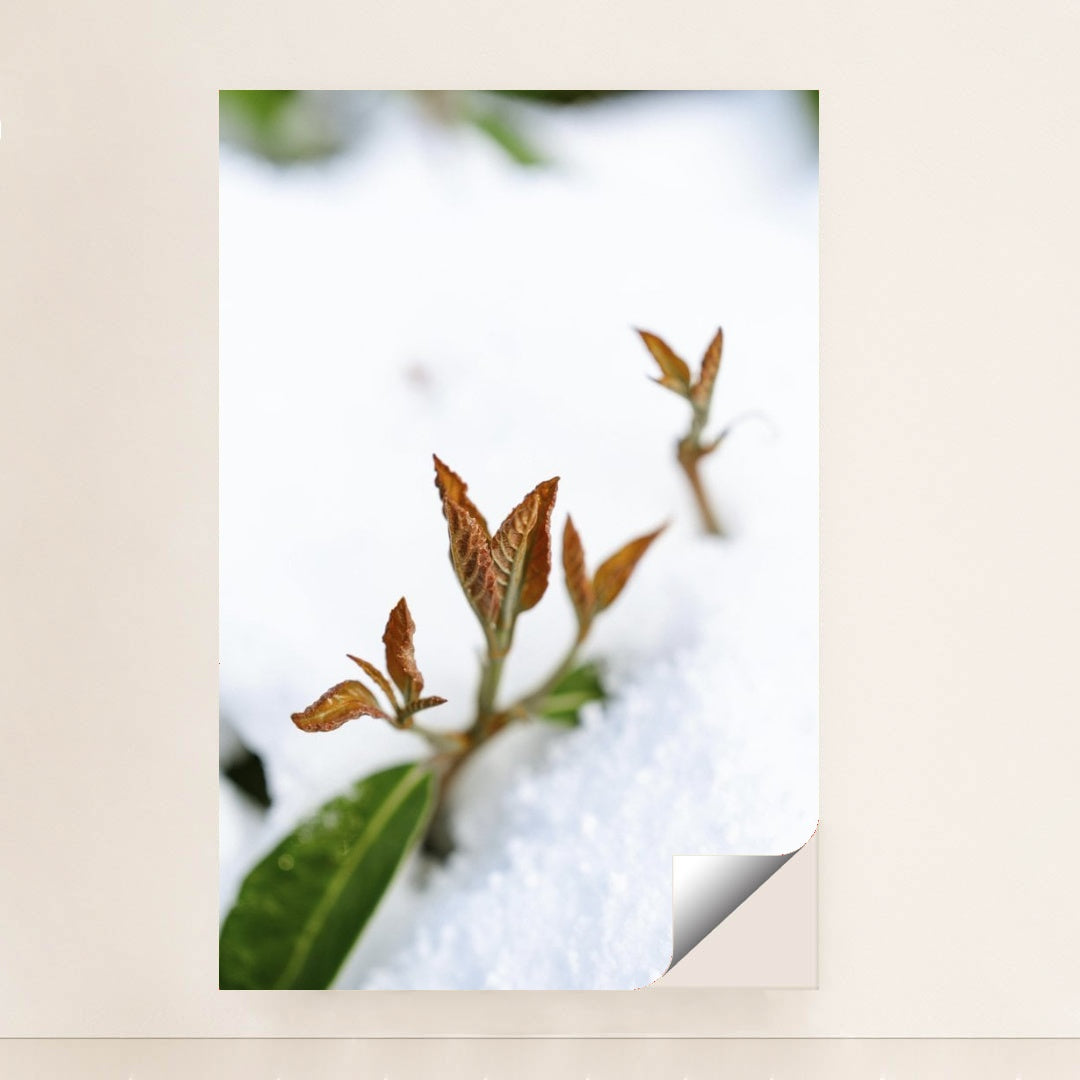 7090345836579 - Product Image