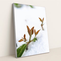 7090345836579 - Product Image