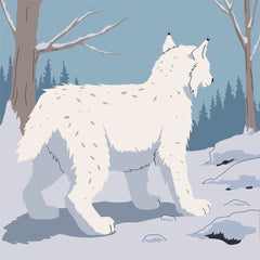 Rizki Kurniawan - A white wolf standing in a snowy forest