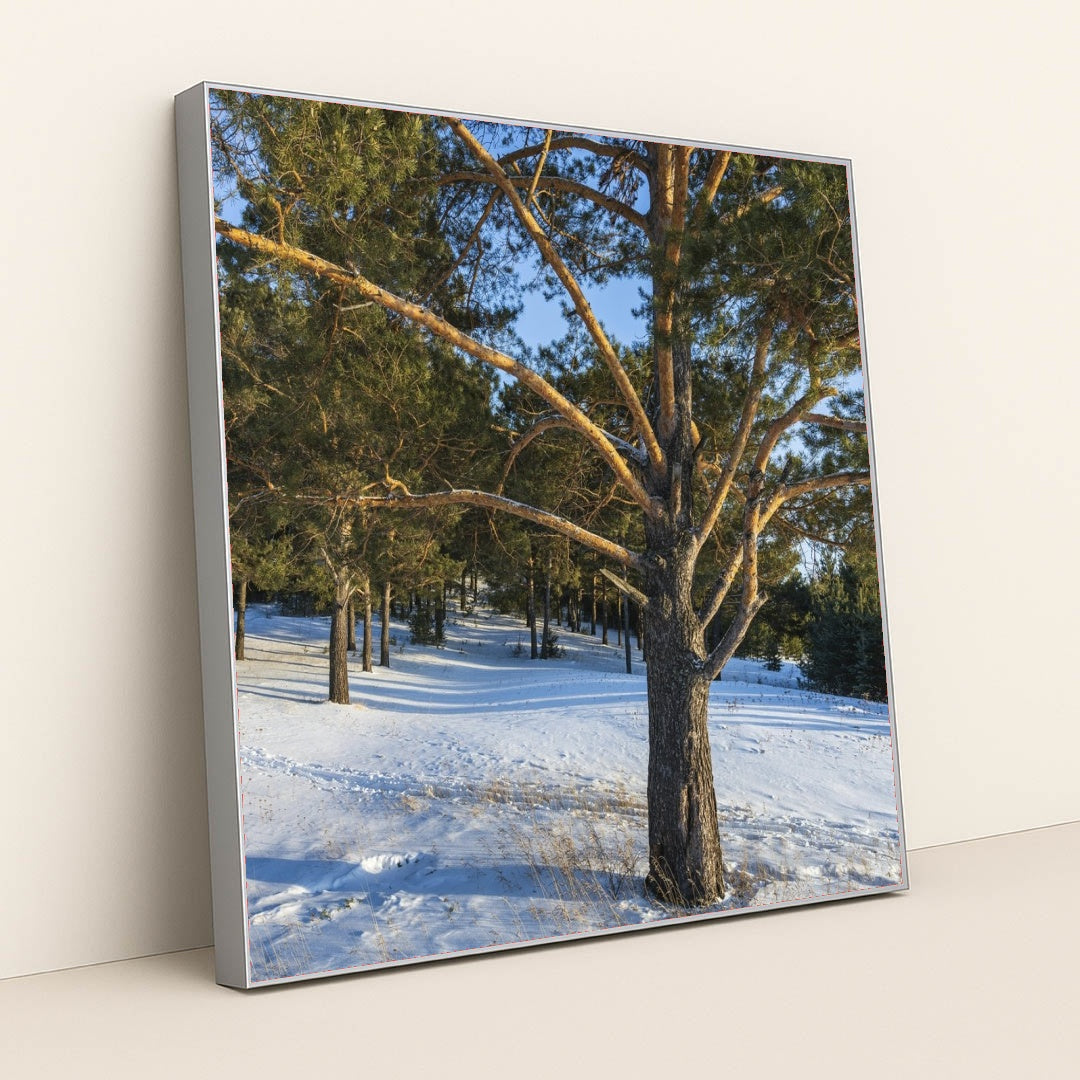 7090357370915 - Product Image