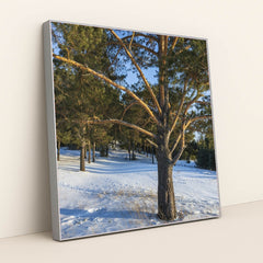 7090357370915 - Product Image