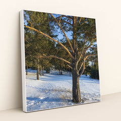 7090357370915 - Product Image