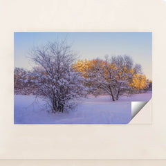 7090783780899 - Product Image