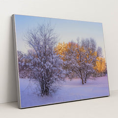 7090783780899 - Product Image