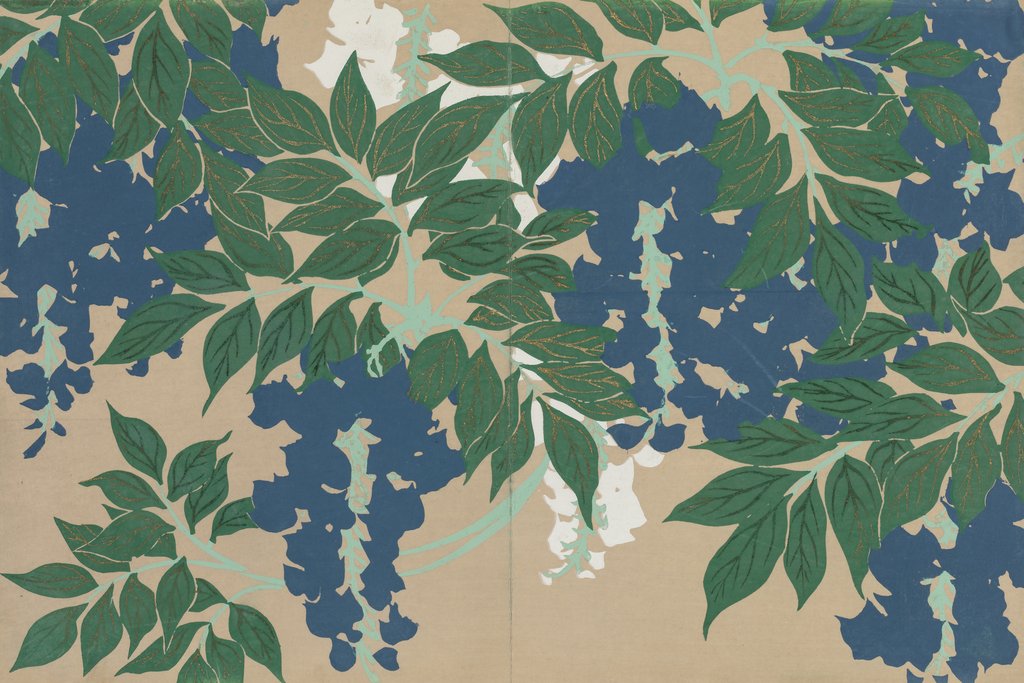 Kamisaka Sekka - Wisteria (Fuji) (1909-1910)