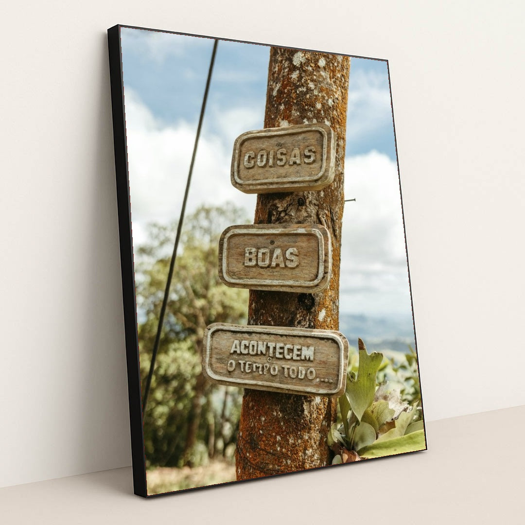 7090290917411 - Product Image