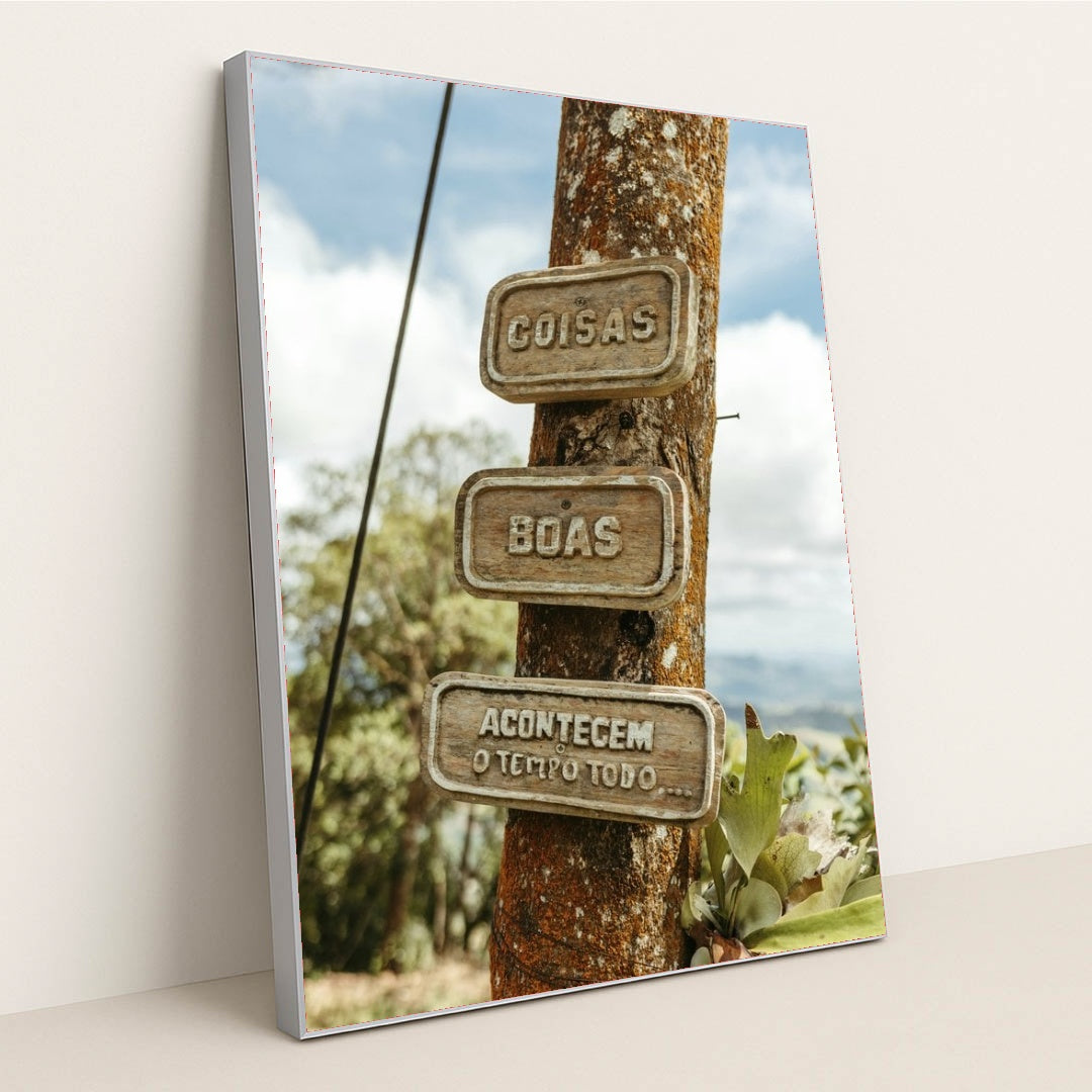 7090290917411 - Product Image