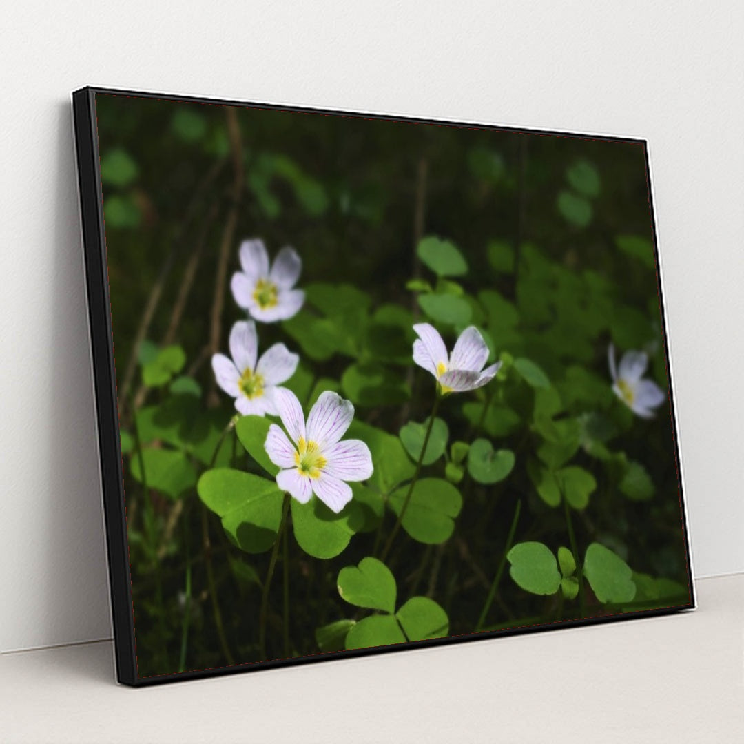 7090298945571 - Product Image