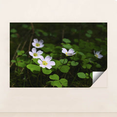 7090298945571 - Product Image