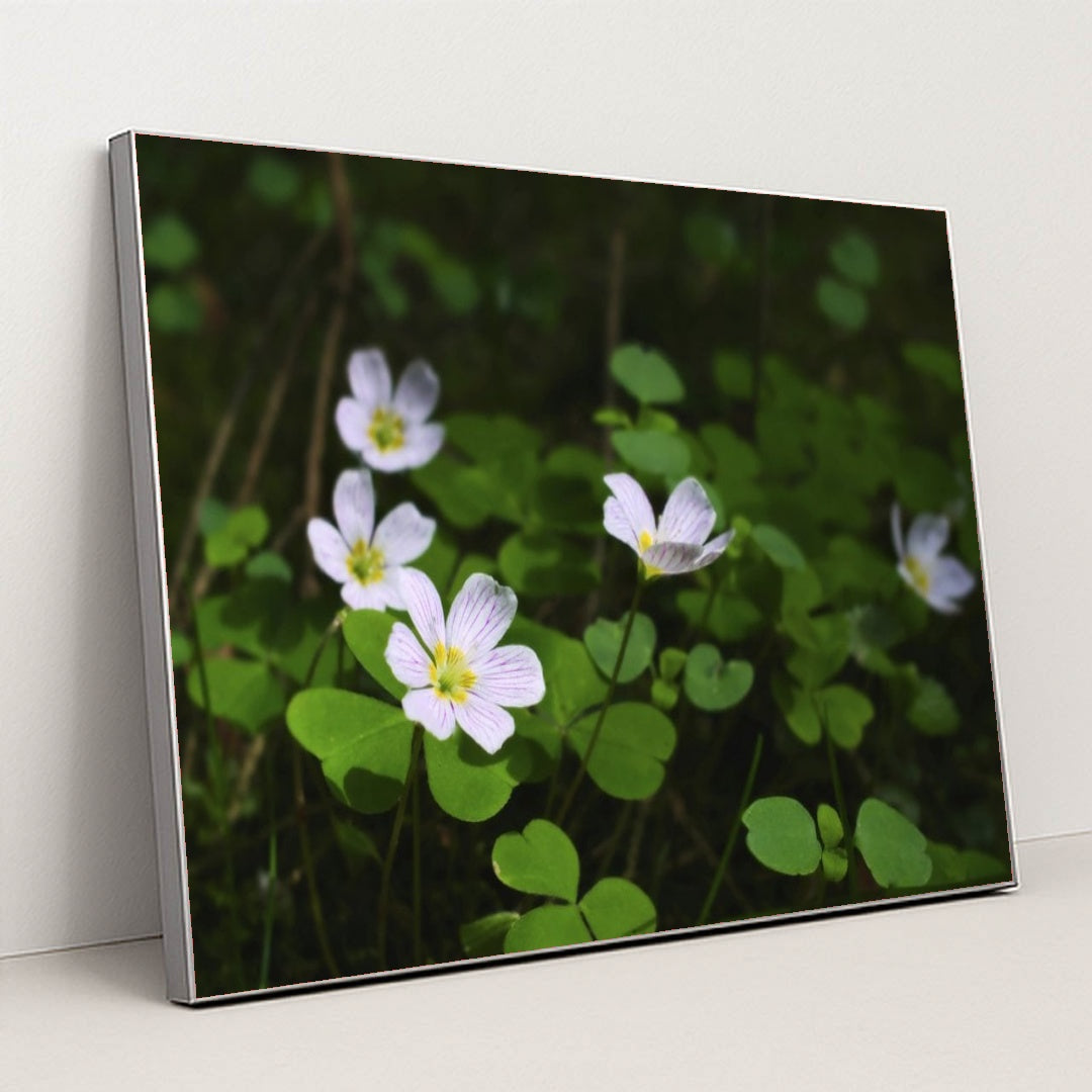 7090298945571 - Product Image