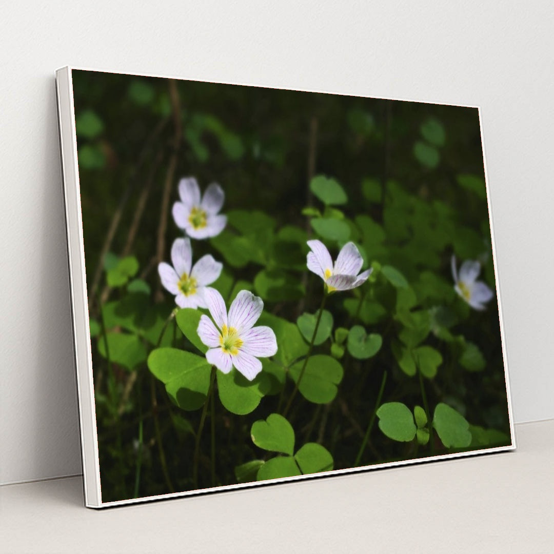 7090298945571 - Product Image