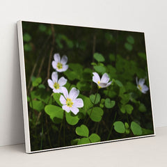 7090298945571 - Product Image